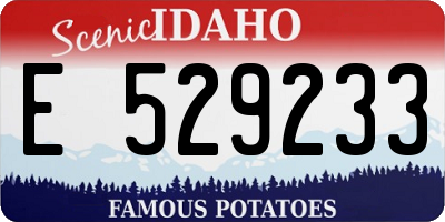ID license plate E529233