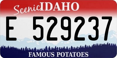 ID license plate E529237
