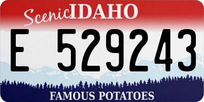 ID license plate E529243