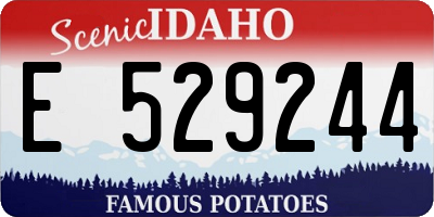 ID license plate E529244