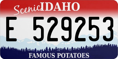 ID license plate E529253