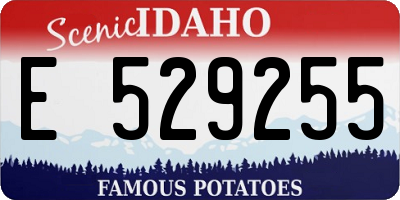 ID license plate E529255