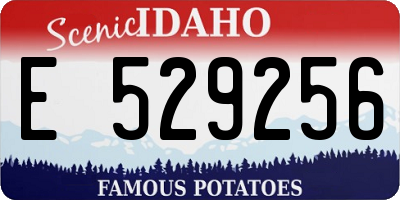 ID license plate E529256