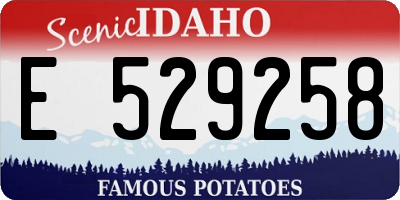 ID license plate E529258