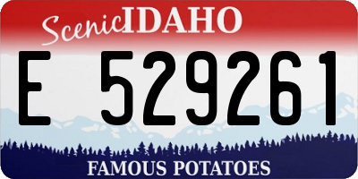 ID license plate E529261