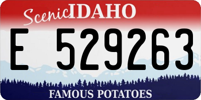 ID license plate E529263