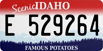 ID license plate E529264