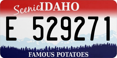 ID license plate E529271