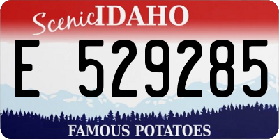 ID license plate E529285