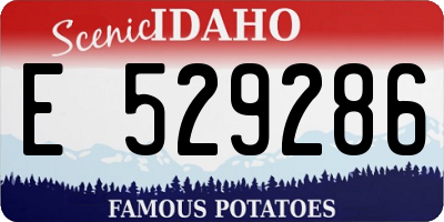 ID license plate E529286