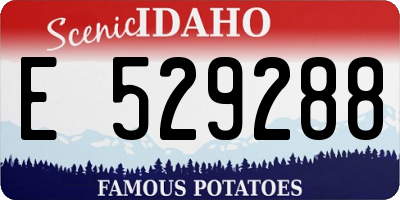 ID license plate E529288