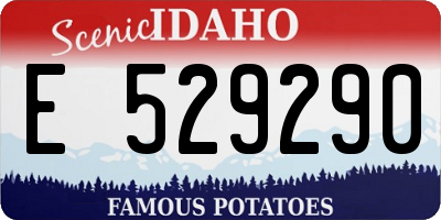 ID license plate E529290