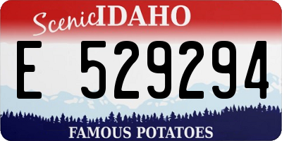 ID license plate E529294