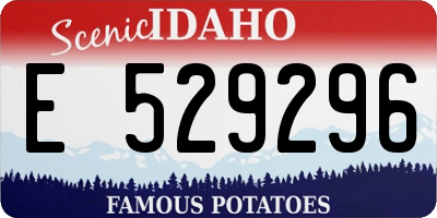 ID license plate E529296