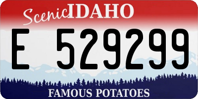 ID license plate E529299