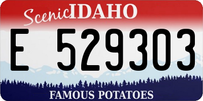 ID license plate E529303