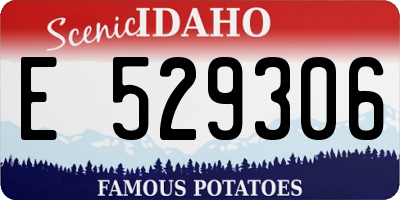ID license plate E529306