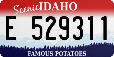 ID license plate E529311