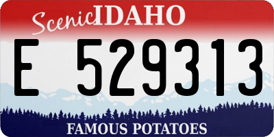 ID license plate E529313
