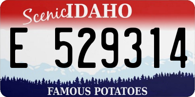 ID license plate E529314