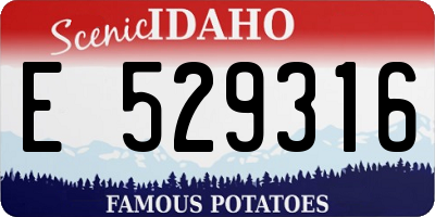 ID license plate E529316