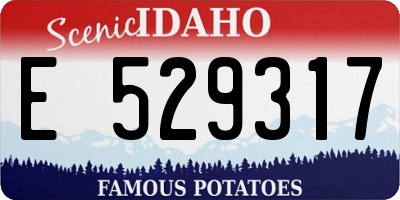 ID license plate E529317