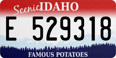 ID license plate E529318
