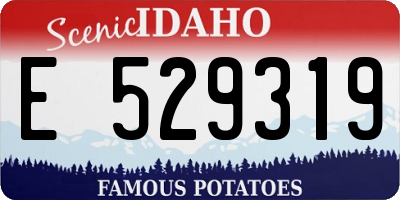 ID license plate E529319