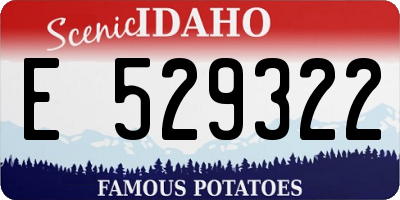 ID license plate E529322