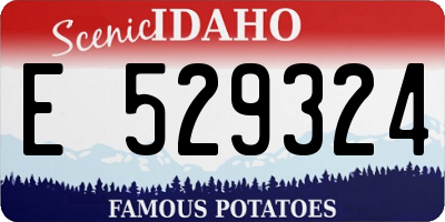 ID license plate E529324