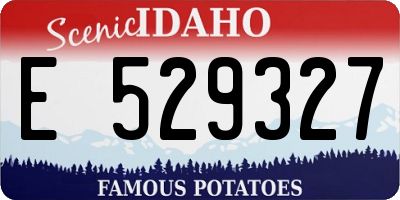 ID license plate E529327