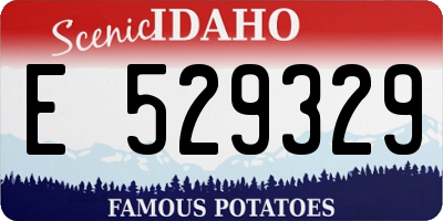 ID license plate E529329
