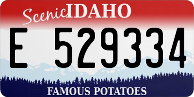 ID license plate E529334