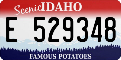 ID license plate E529348