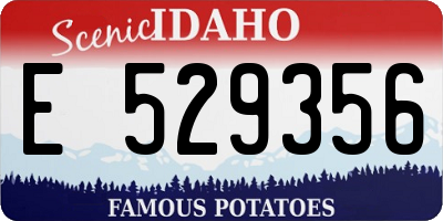 ID license plate E529356
