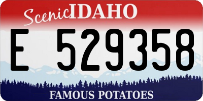 ID license plate E529358