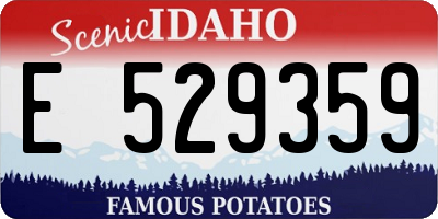 ID license plate E529359