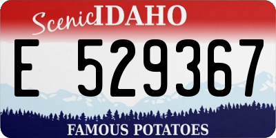 ID license plate E529367