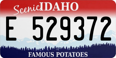 ID license plate E529372