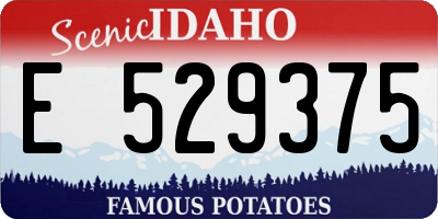 ID license plate E529375