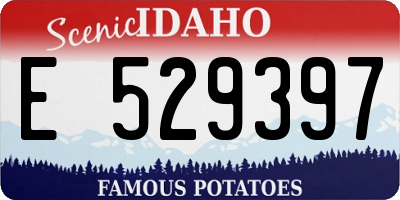 ID license plate E529397