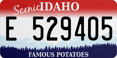 ID license plate E529405