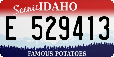 ID license plate E529413