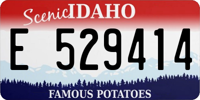 ID license plate E529414