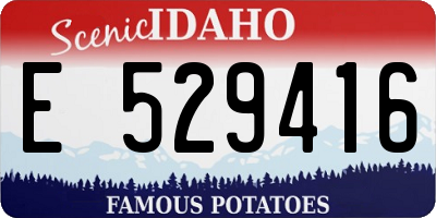 ID license plate E529416