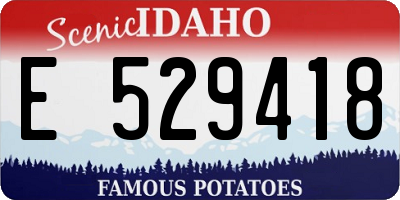 ID license plate E529418