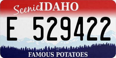 ID license plate E529422