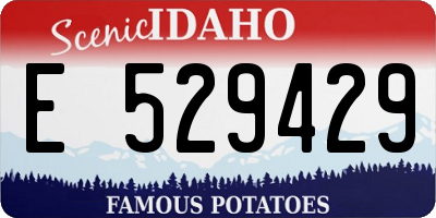 ID license plate E529429