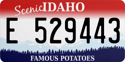ID license plate E529443