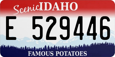 ID license plate E529446
